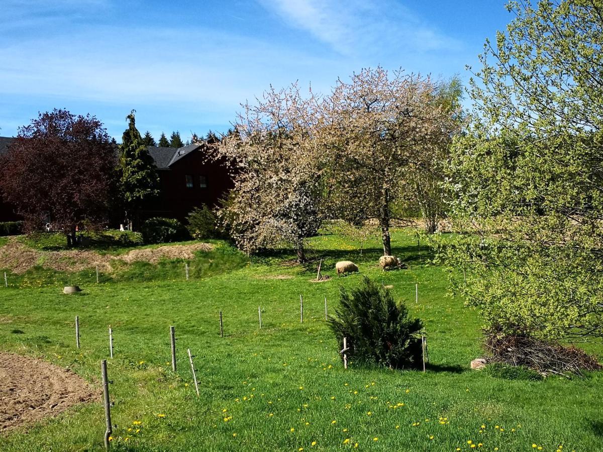 Ferienwohnungen 1 Bis 4 "Pumphut'S Scheune" Lengenfeld  Exterior foto